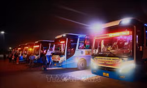 Ấm áp những chuyến xe miễn phí đưa công nhân, bệnh nhân nghèo về quê đón Tết