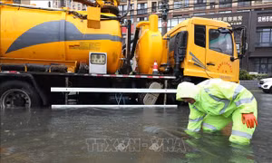 Bắc Kinh (Trung Quốc) dừng một số tuyến xe buýt và hoạt động du lịch do bão Dolphin