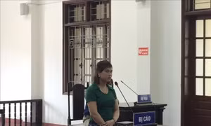 Lĩnh án 7 năm tù vì lừa bán hoa lan đột biến