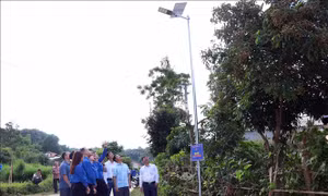 Thanh niên Sơn La chung tay xây dựng nông thôn mới