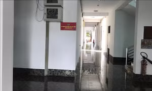 Kỷ luật Chủ tịch và Phó Chủ tịch Hội Nông dân tỉnh Đồng Tháp