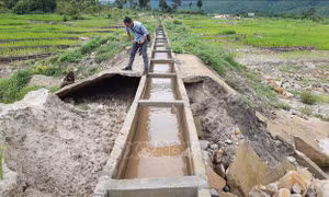 Kiểm tra công trình thủy lợi trăm tỷ chưa nghiệm thu đã hỏng