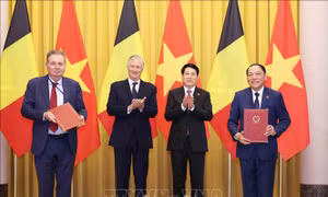 Chủ tịch nước Lương Cường và Nhà Vua Bỉ chứng kiến trao văn kiện hợp tác 