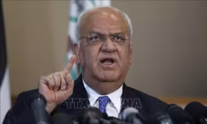 Tổng thư ký Tổ chức Giải phóng Palestine Saeb Erekat qua đời vì COVID-19    