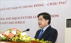 Mở ra các hướng hợp tác nông nghiệp giữa Việt Nam và Trung Đông - châu Phi