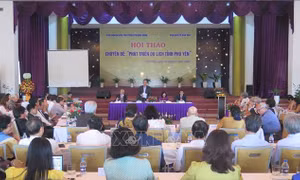 Phú Yên cần đặt du lịch trong quy hoạch tổng thể phát triển kinh tế