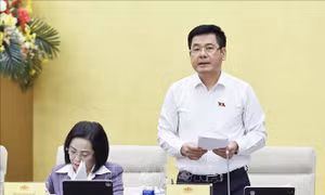 Thúc đẩy phát triển thị trường dịch vụ kế toán, kiểm toán hiệu quả và bền vững