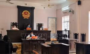 Tuyên phạt hai cá nhân đăng nội dung xúc phạm người khác trên mạng xã hội