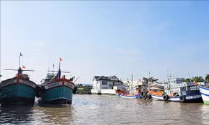 Kỳ vọng ấm no từ những chuyến tàu khai thác xa bờ