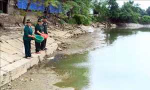 Cựu Thanh niên xung phong đoàn kết, giúp nhau phát triển kinh tế