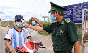 Phú Yên quản lý chặt lao động, đảm bảo an toàn tại các cảng cá