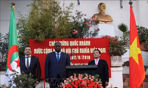 Lễ kỷ niệm Quốc khánh Việt Nam tại Algeria
