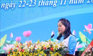 Bà Tô Thị Tâm tái cử Chủ tịch Hội Liên hiệp Phụ nữ tỉnh Đắk Lắk