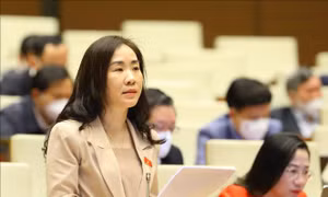 Cần làm rõ nội hàm 'đặc thù', 'đặc biệt' và 'tinh nhuệ' của Cảnh sát Cơ động