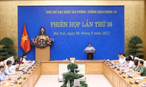 Thủ tướng chủ trì phiên họp Ban Chỉ đạo Quốc gia phòng, chống dịch COVID-19