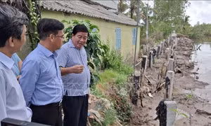 Triển khai các giải pháp bảo vệ người dân vùng sạt lở ven sông Cà Mau – Bạc Liêu