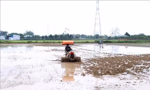 Nhiều địa phương cơ bản hoàn thành kế hoạch lấy nước cho vụ Đông Xuân