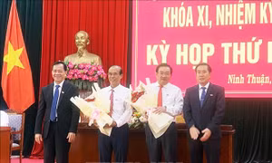 Bầu bổ sung Phó Chủ tịch và Ủy viên UBND tỉnh Ninh Thuận 