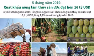 Xuất khẩu nông lâm thủy sản ước đạt hơn 16 tỷ USD