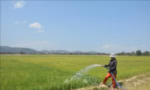 Đắk Lắk: Chủ động triển khai các biện pháp chống hạn