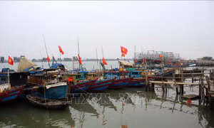 Niềm vui ngư dân sau chuyến ra khơi đầu năm mới