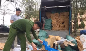 Thu giữ gần 6 tấn sản phẩm động vật bốc mùi hôi thối 