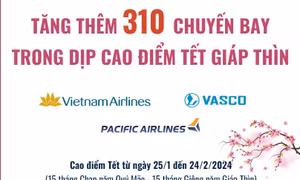 Tăng thêm 310 chuyến bay trong cao điểm Tết Giáp Thìn