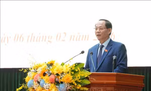Phó Chủ tịch Quốc hội nêu bật 4 dấu ấn đậm nét của HĐND tỉnh Quảng Ngãi
