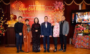 Xuân Bính Ngọ 2026: Rộn ràng Tết Việt nơi 'xứ sở hoa hồng'
