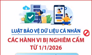 Luật Bảo vệ dữ liệu cá nhân: Các hành vi bị nghiêm cấm từ 1/1/2026