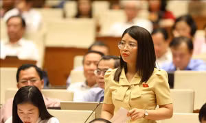 Tránh tình trạng đào tạo lao động không theo địa chỉ, không theo đặt hàng