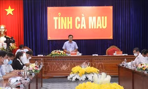 Cà Mau rà soát các chỉ tiêu, nhiệm vụ năm 2021 để chỉ đạo quyết liệt hơn