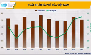 Cánh cửa rộng mở cho xuất khẩu cà phê năm 2024 chinh phục đỉnh cao mới