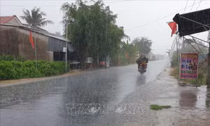 Mưa chuyển mùa 'giải nhiệt' nhiều địa phương ở tỉnh Trà Vinh