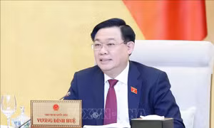 Cho ý kiến về dự án Luật sửa đổi, bổ sung một số điều của Luật Sở hữu trí tuệ