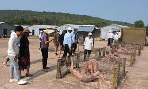 Tu bổ, tôn tạo Di tích lịch sử quốc gia đặc biệt Trại giam Phú Quốc
