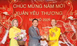 Tưng bừng ngày hội 'Xuân yêu thương' tại Thụy Điển