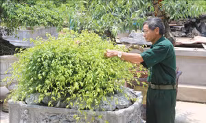 Chuyện về những cựu chiến binh không nản chí trước hoàn cảnh