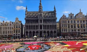 Rực rỡ thảm hoa Brussels 2024
