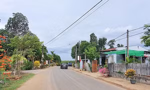 Hỗ trợ các xã đặc biệt khó khăn xây dựng nông thôn mới