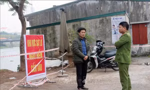 Hà Nam tập trung xử lý sự cố sạt lở đê bối sông Nhuệ