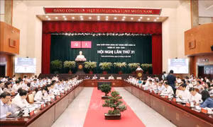 TP Hồ Chí Minh: Tập trung bàn thảo những vấn đề cấp thiết phục vụ phát triển KT-XH