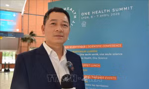 Việt Nam - hình mẫu 'Một sức khỏe' trong phòng chống dịch bệnh
