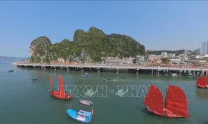 Người giữ 'hồn' cho cánh buồm di sản trên vịnh Hạ Long