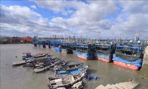 Tỉnh Quảng Đông (Trung Quốc) dốc toàn lực ứng phó siêu bão Ragasa