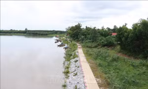 Phát hiện thi thể 2 bé gái bên bờ sông ở Cần Giuộc