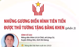 Những gương điển hình tiên tiến được Thủ tướng Chính phủ tặng Bằng khen (phần 3)