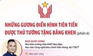 Những gương điển hình tiên tiến được Thủ tướng Chính phủ tặng Bằng khen (phần 6)