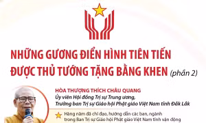 Những gương điển hình tiên tiến được Thủ tướng Chính phủ tặng Bằng khen (phần 2)