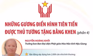 Những gương điển hình tiên tiến được Thủ tướng Chính phủ tặng Bằng khen (phần 4)